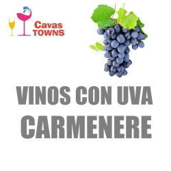 Vinos Con Uva Carmenere - Cavas Towns