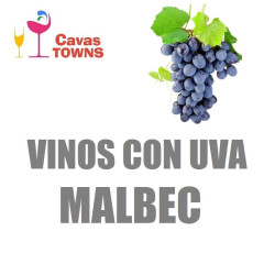 Vinos Con Uva Malbec - Cavas Towns