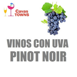 Vinos Con Uva Pinot Noir - Cavas Towns