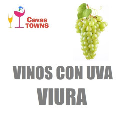 Vinos Con Uva Viura - Cavas Towns
