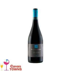 Vino Tinto Parada de Atauta Ribera del Duero 750 ml - Cavas Towns
